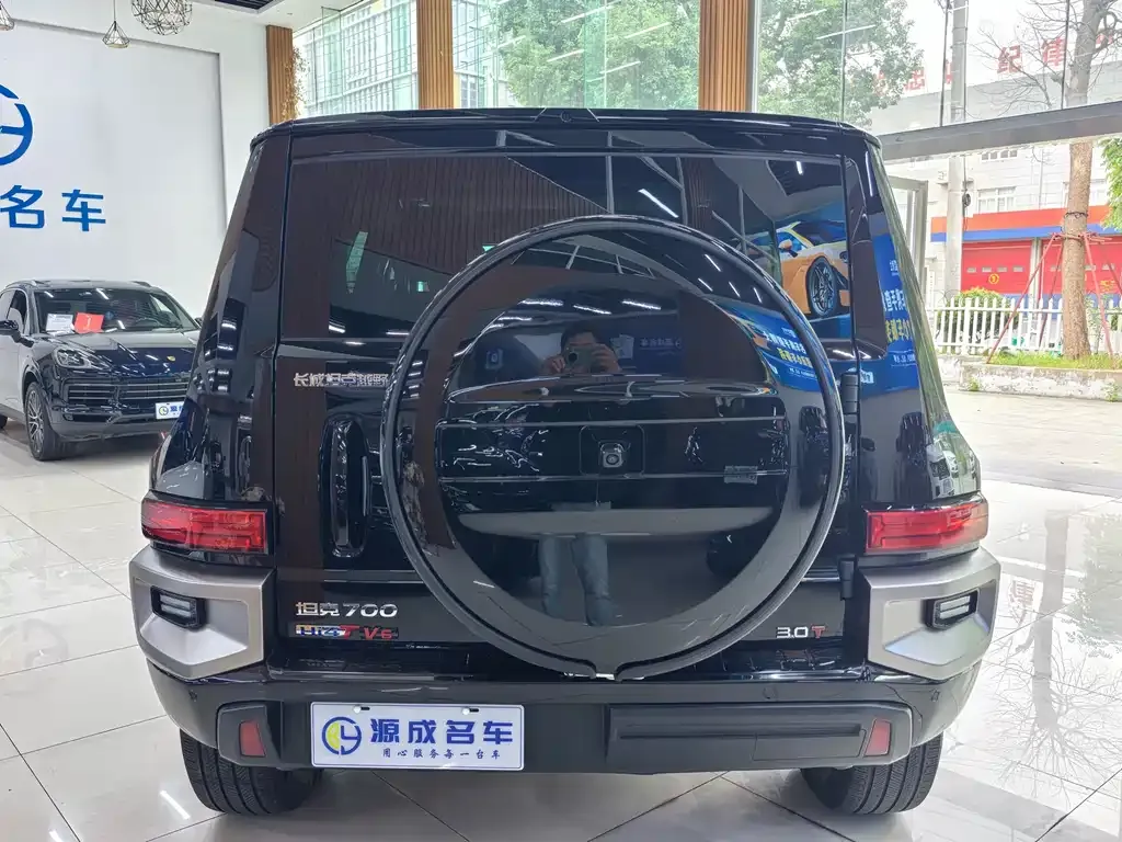 Tank 700 New Energy 2024 из CN, фото 7