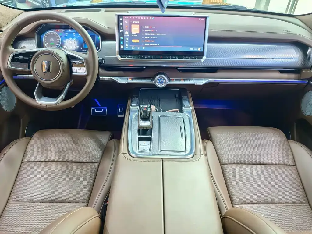 Tank 700 New Energy 2024 из CN, фото 8