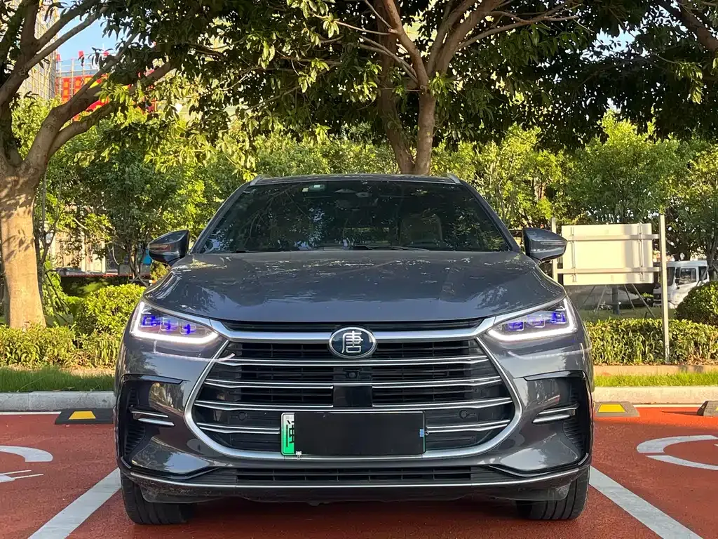 BYD Tang New Energy 2023 из CN, фото 2
