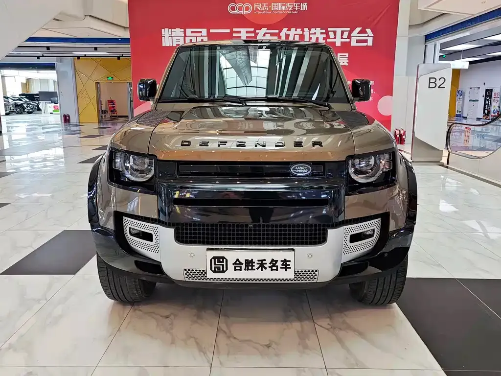 Land Rover Defender 2021 из CN, фото 3