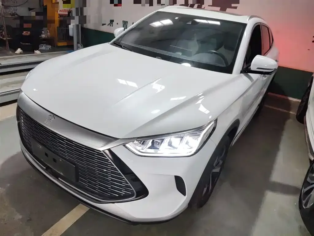 BYD PLUS New Energy 2022 из CN, фото 1