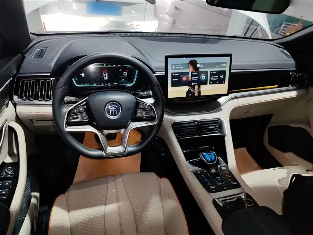 BYD PLUS New Energy 2022 из CN, фото 10