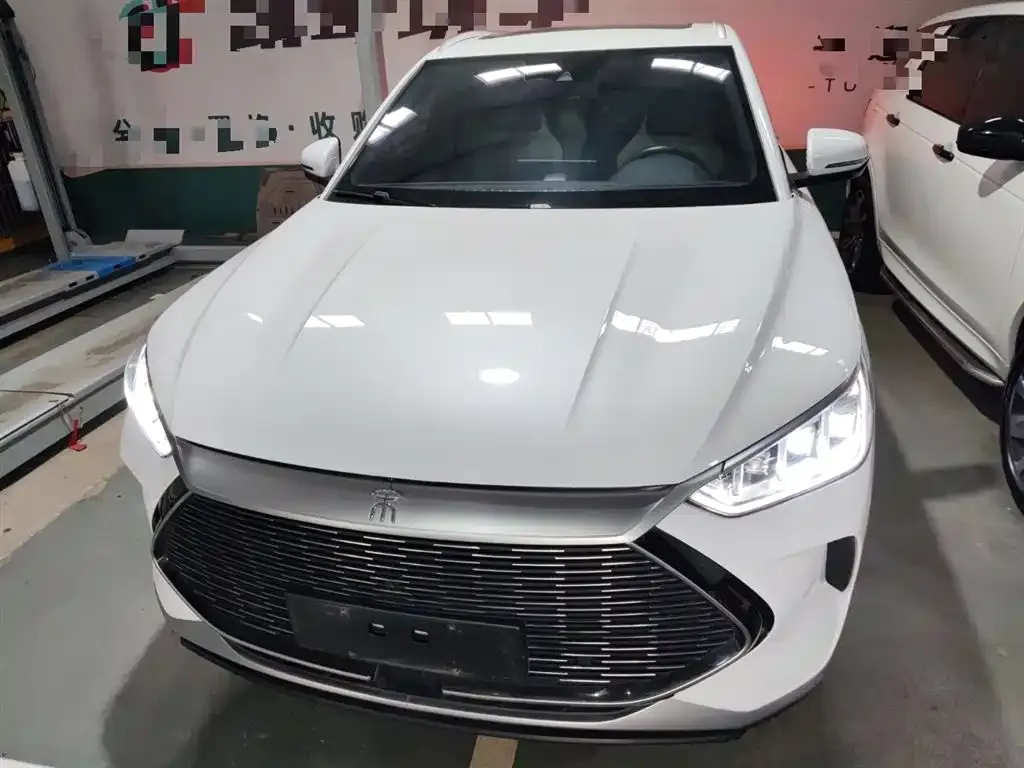 BYD PLUS New Energy 2022 из CN, фото 3