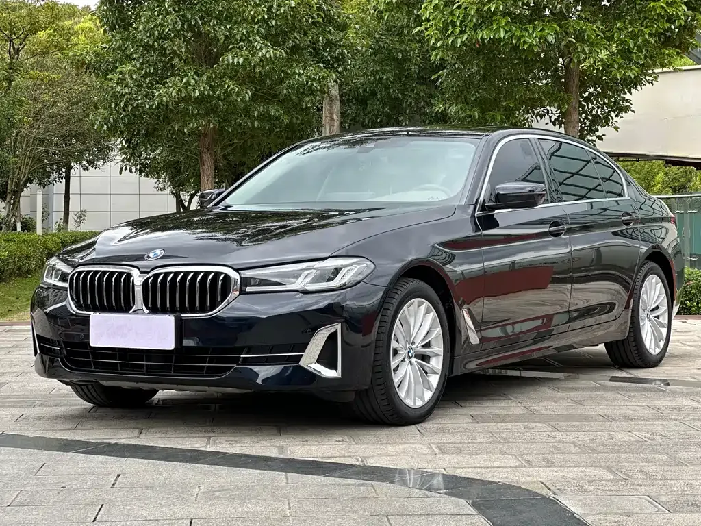 BMW 5 Series 2022 из CN, фото 1