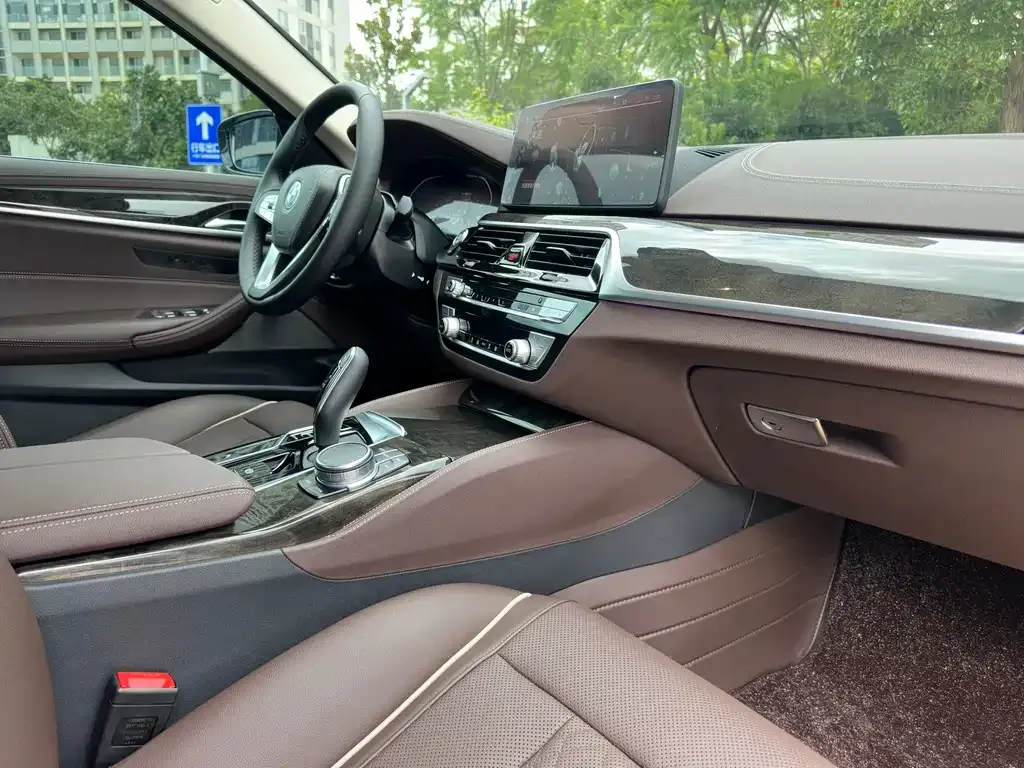BMW 5 Series 2022 из CN, фото 10