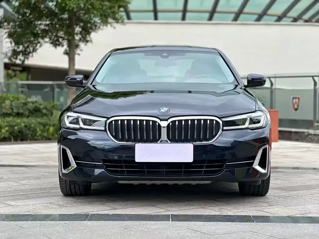 BMW 5 Series 2022 из CN, фото 2