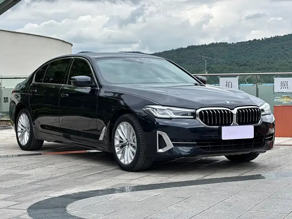 BMW 5 Series 2022 из CN, фото 3