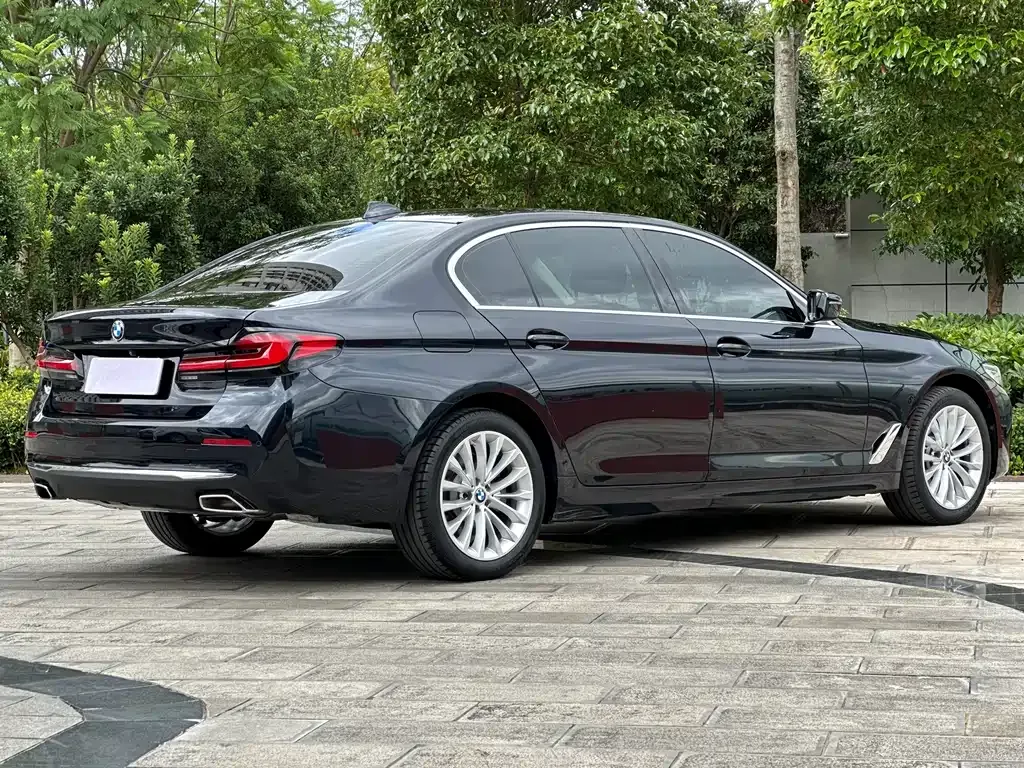 BMW 5 Series 2022 из CN, фото 4