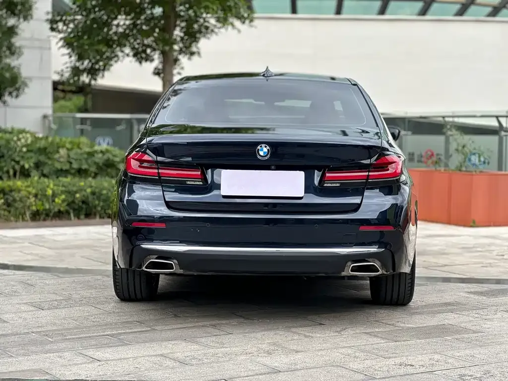 BMW 5 Series 2022 из CN, фото 5