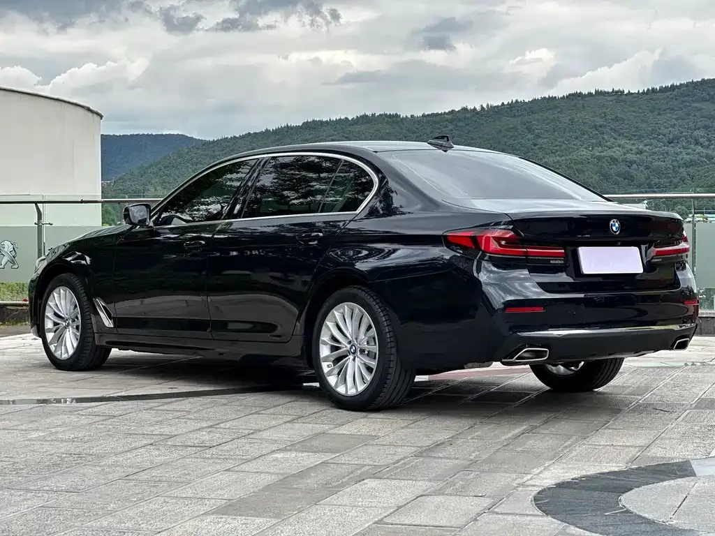 BMW 5 Series 2022 из CN, фото 6