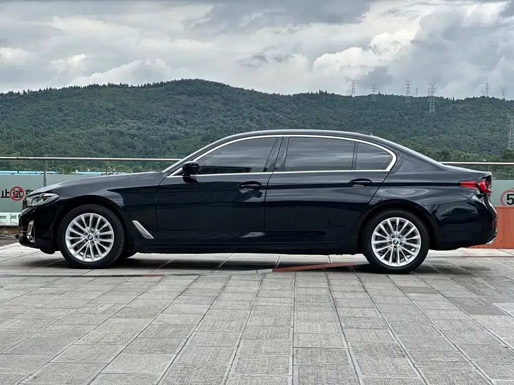 BMW 5 Series 2022 из CN, фото 7