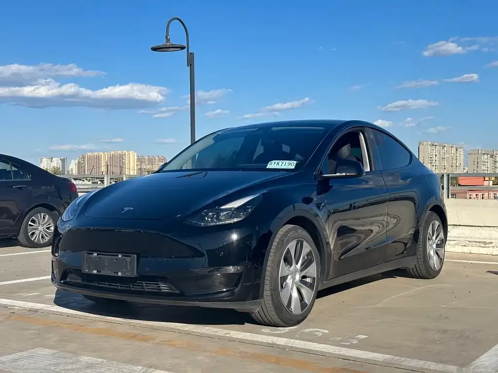 Tesla Model Y 2021 из CN, фото 1