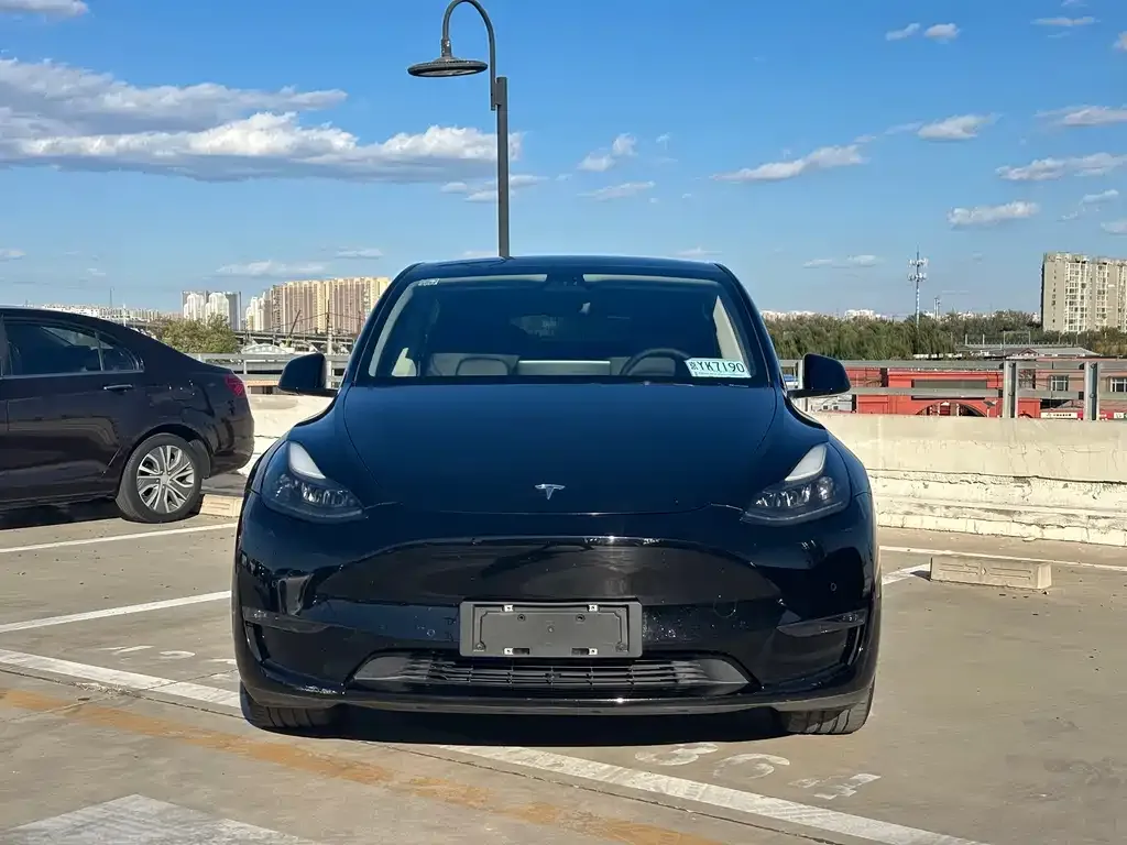 Tesla Model Y 2021 из CN, фото 2