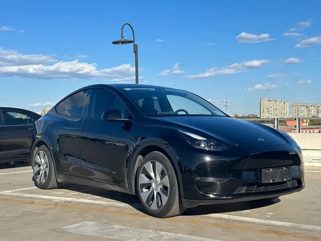 Tesla Model Y 2021 из CN, фото 3