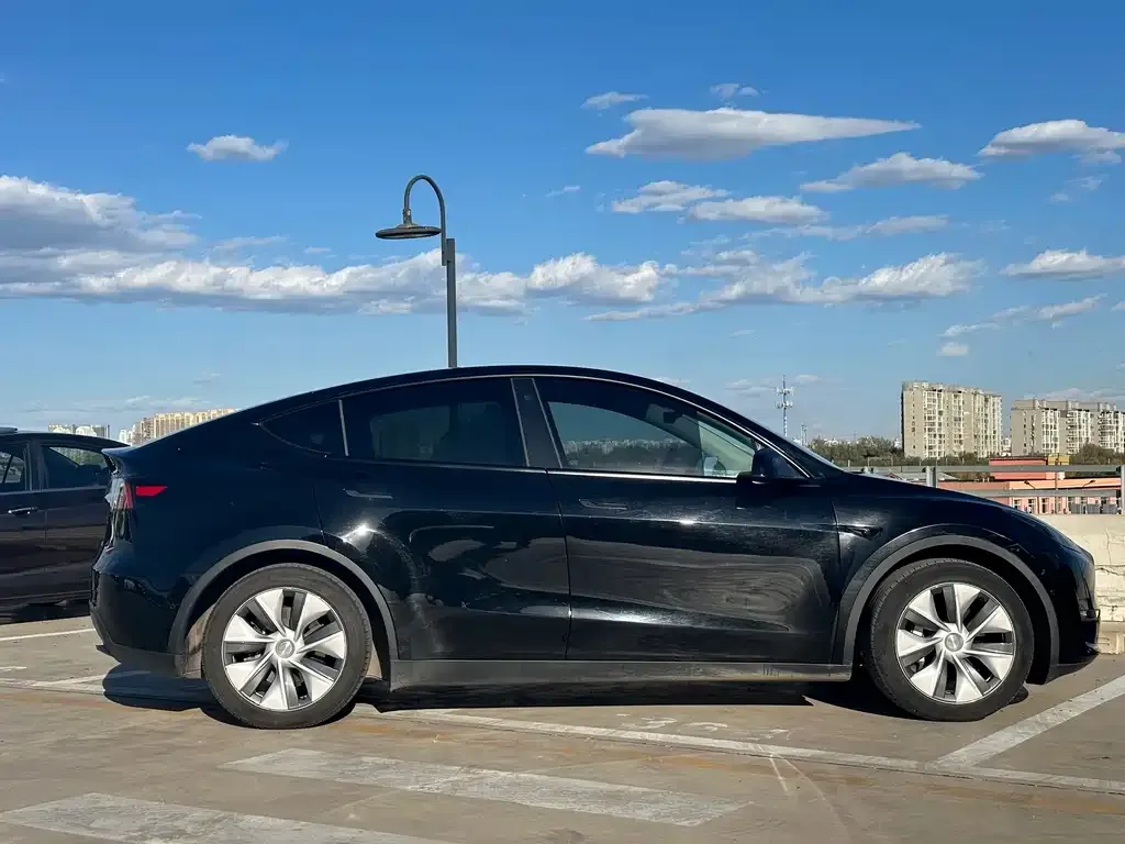Tesla Model Y 2021 из CN, фото 4
