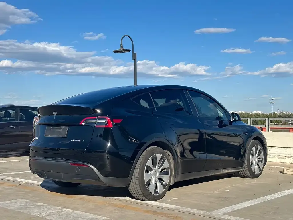 Tesla Model Y 2021 из CN, фото 5