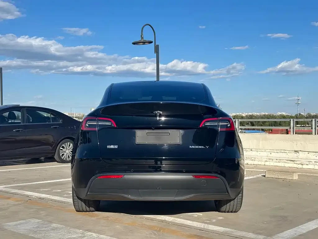 Tesla Model Y 2021 из CN, фото 6