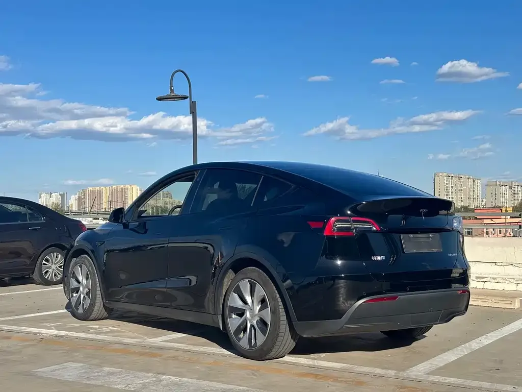Tesla Model Y 2021 из CN, фото 7