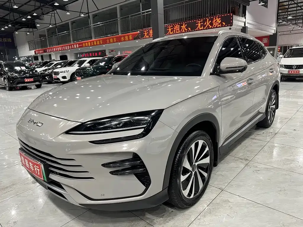 BYD PLUS New Energy — фото 1
