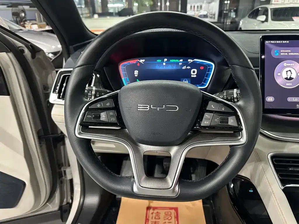 BYD PLUS New Energy — фото 10
