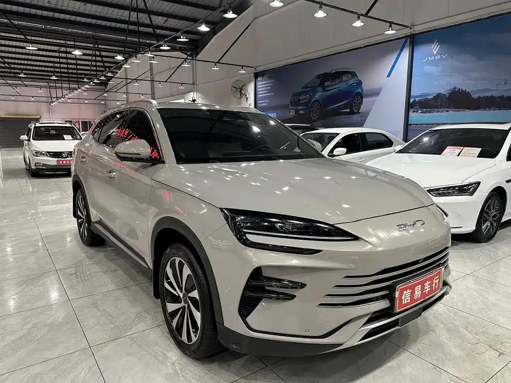 BYD PLUS New Energy — фото 3