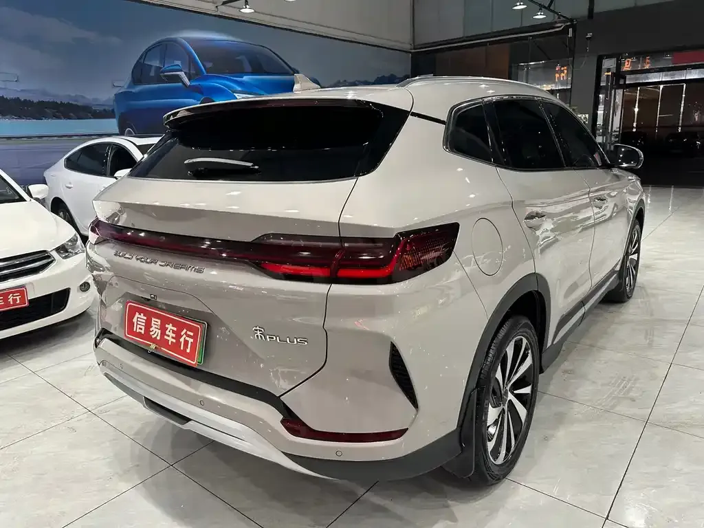 BYD PLUS New Energy — фото 6