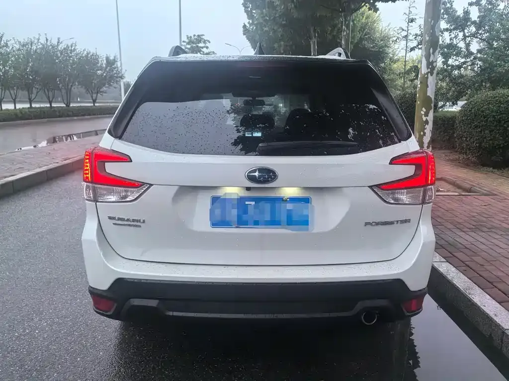 Subaru Forester 2024 из CN, фото 8