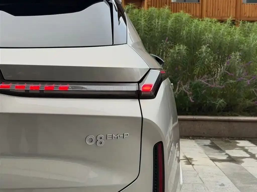 [object Object] 08 EM-P 2025 из CN, фото 8