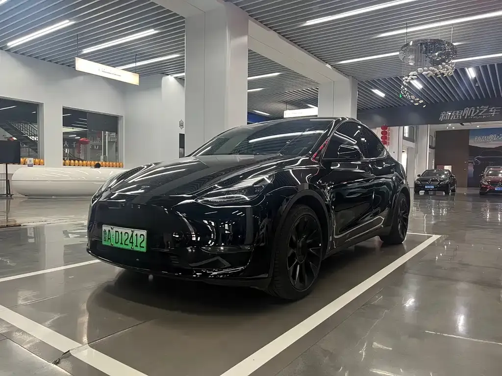 Tesla Model Y — фото 1