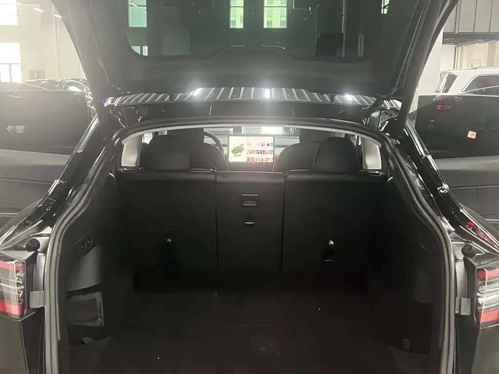 Tesla Model Y — фото 10