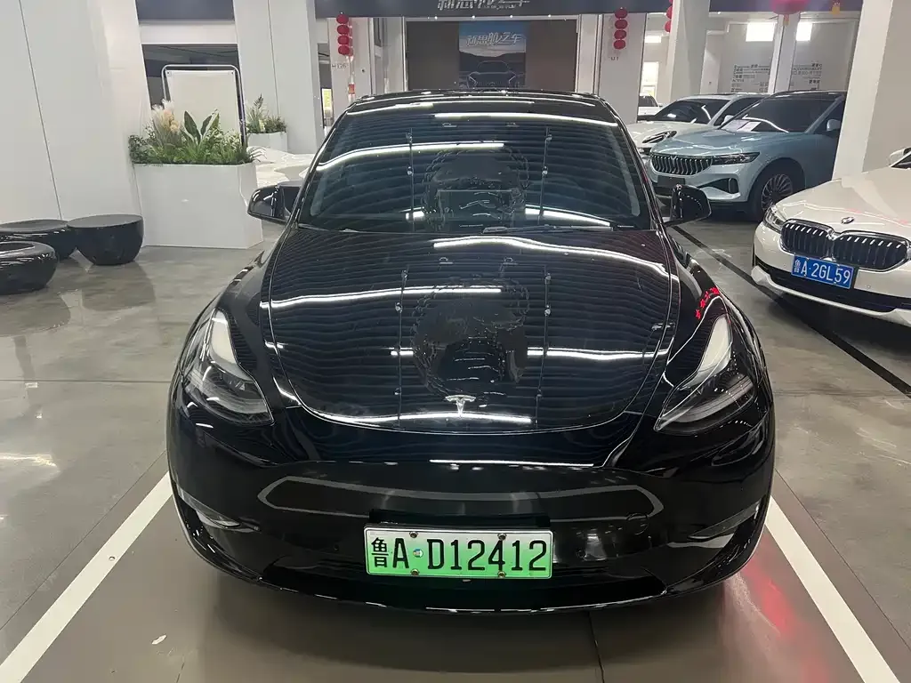 Tesla Model Y — фото 2