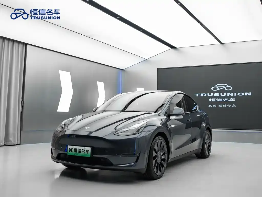 Tesla Model Y — фото 1