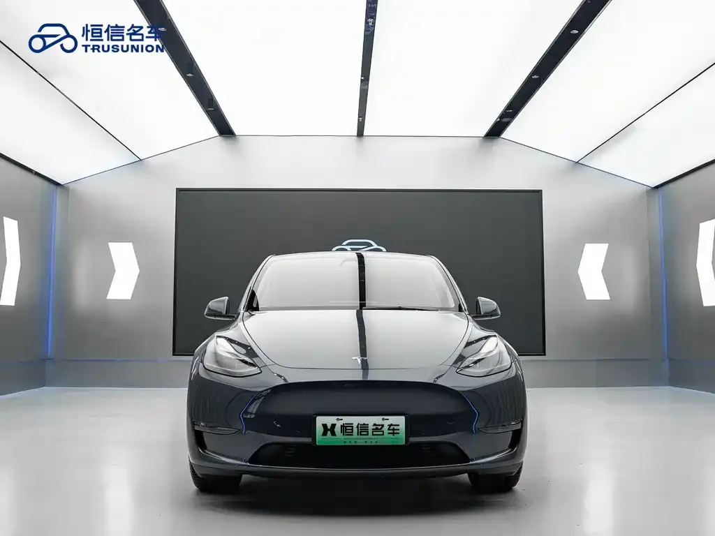 Tesla Model Y — фото 2
