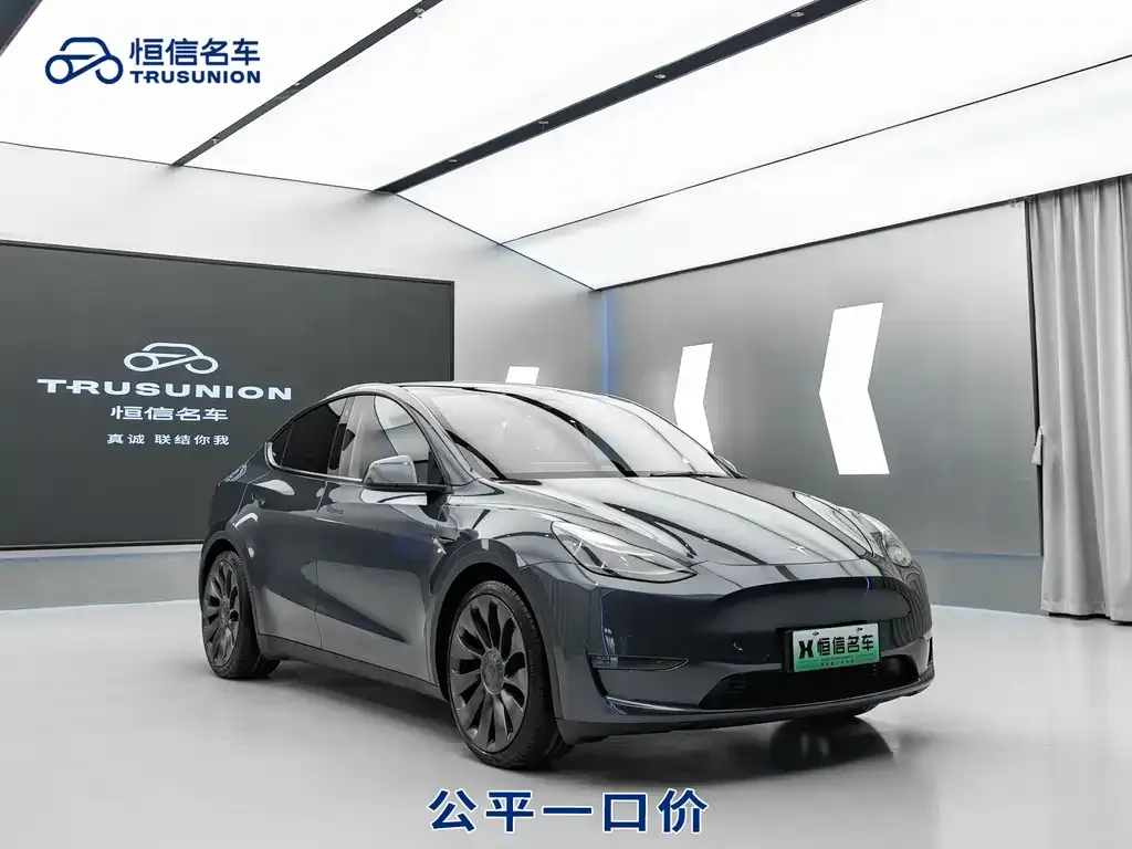 Tesla Model Y — фото 3