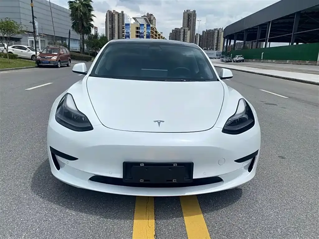Tesla Model 3 2021 из CN, фото 3