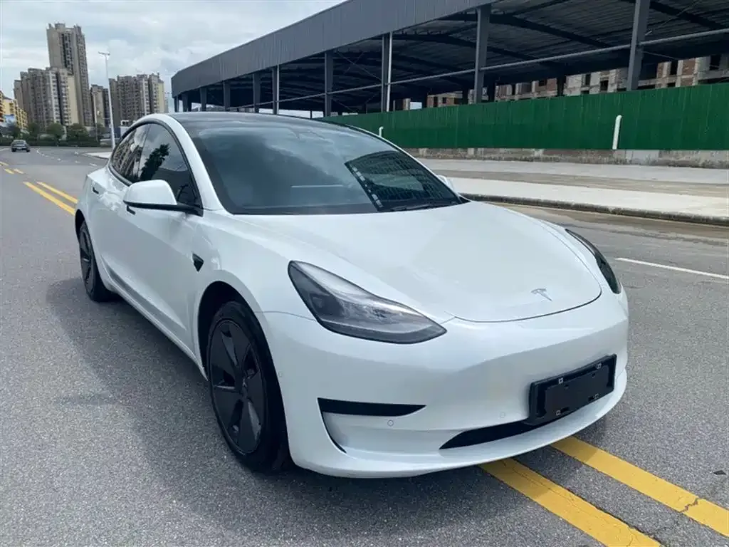 Tesla Model 3 2021 из CN, фото 4