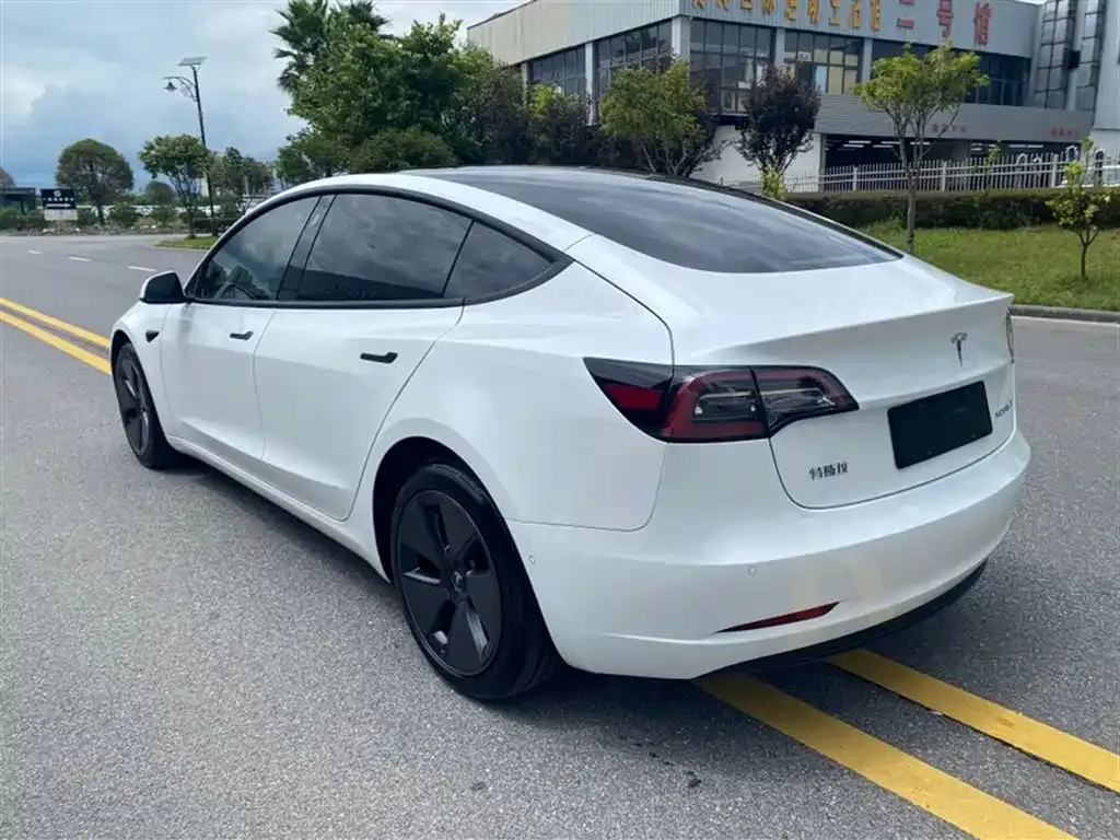 Tesla Model 3 2021 из CN, фото 5