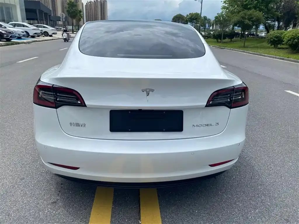 Tesla Model 3 2021 из CN, фото 6