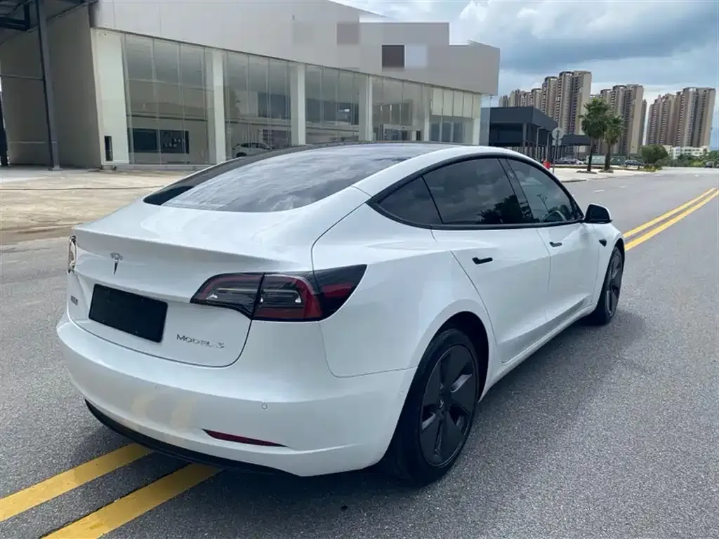Tesla Model 3 2021 из CN, фото 7