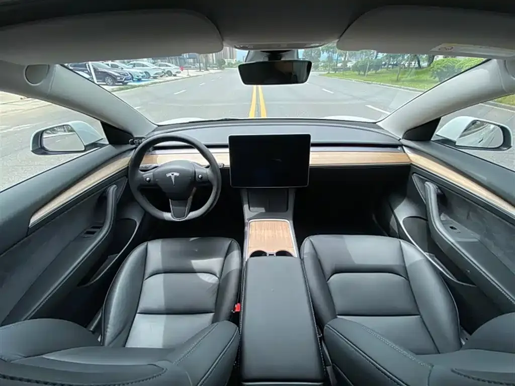 Tesla Model 3 2021 из CN, фото 8