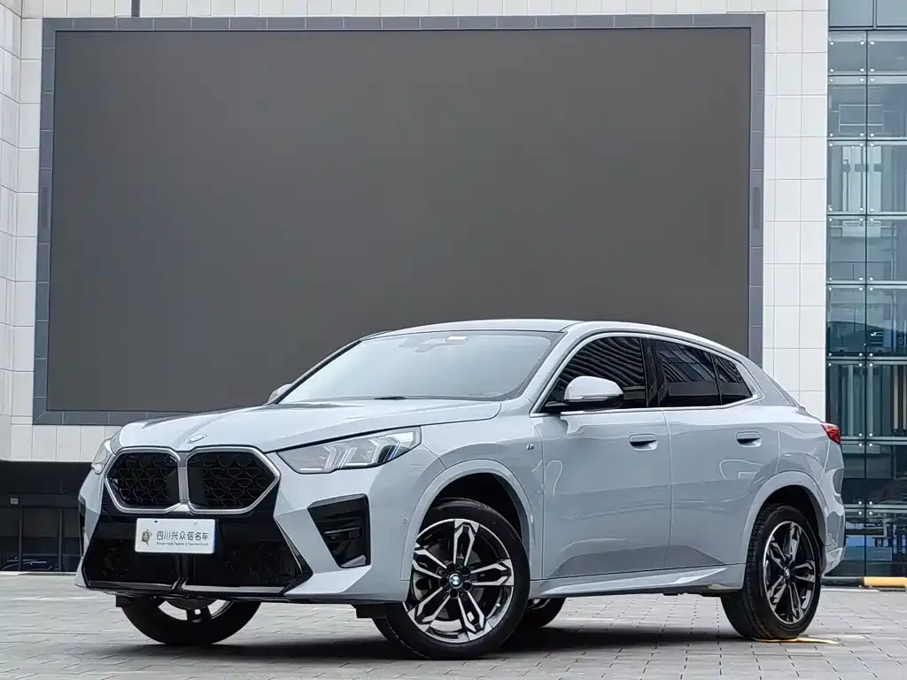 BMW X2 (Import) 2024 из CN, фото 1