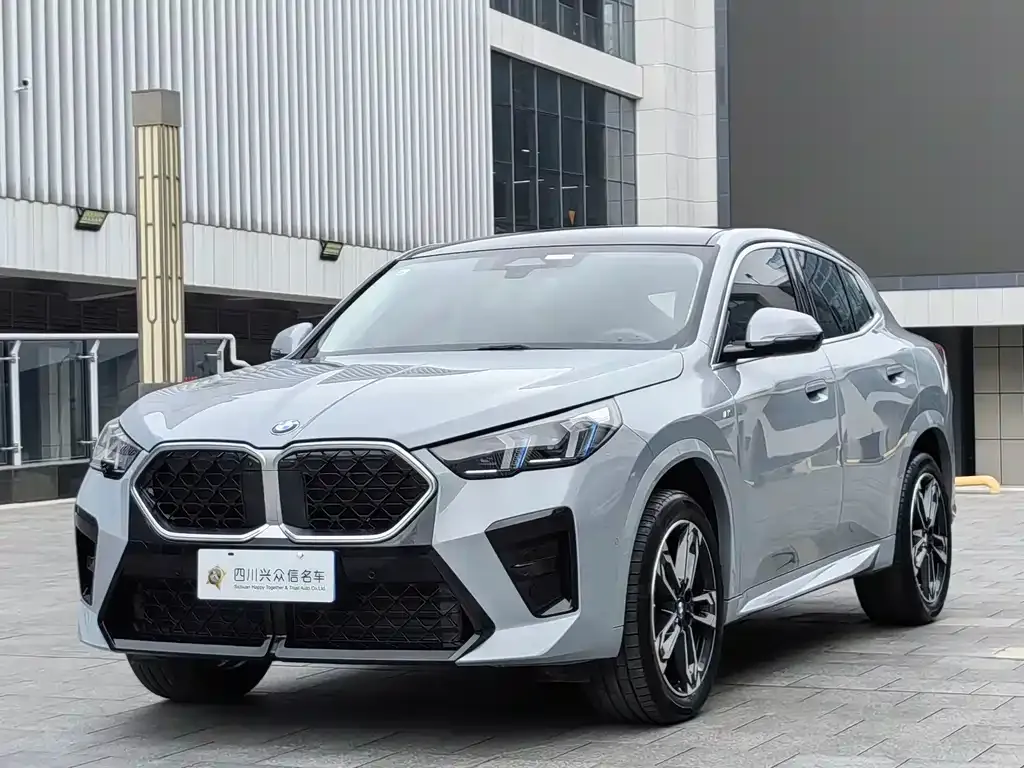 BMW X2 (Import) 2024 из CN, фото 2
