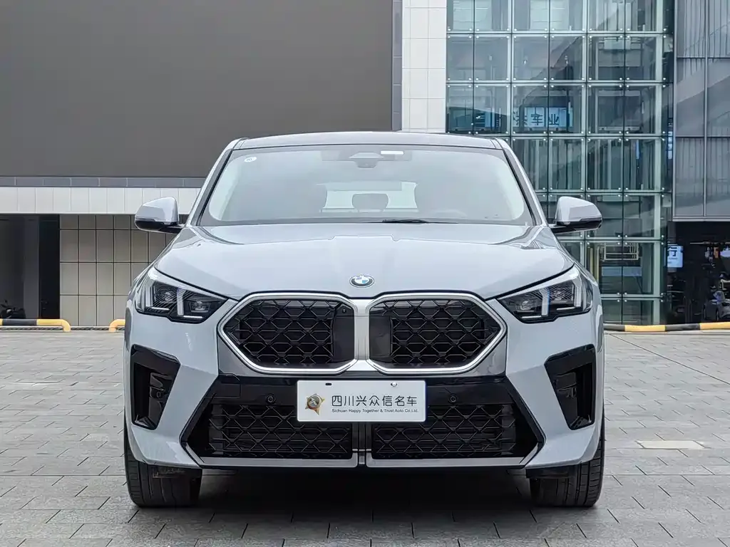 BMW X2 (Import) 2024 из CN, фото 3