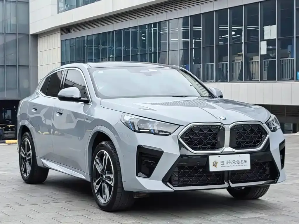 BMW X2 (Import) 2024 из CN, фото 4