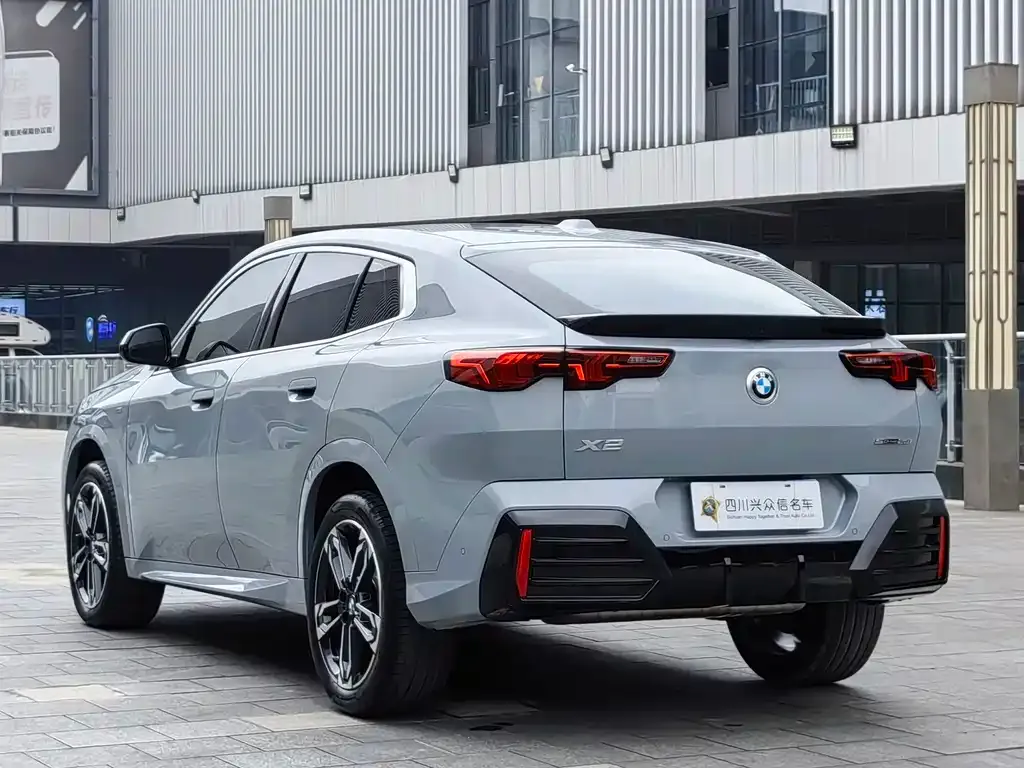 BMW X2 (Import) 2024 из CN, фото 7