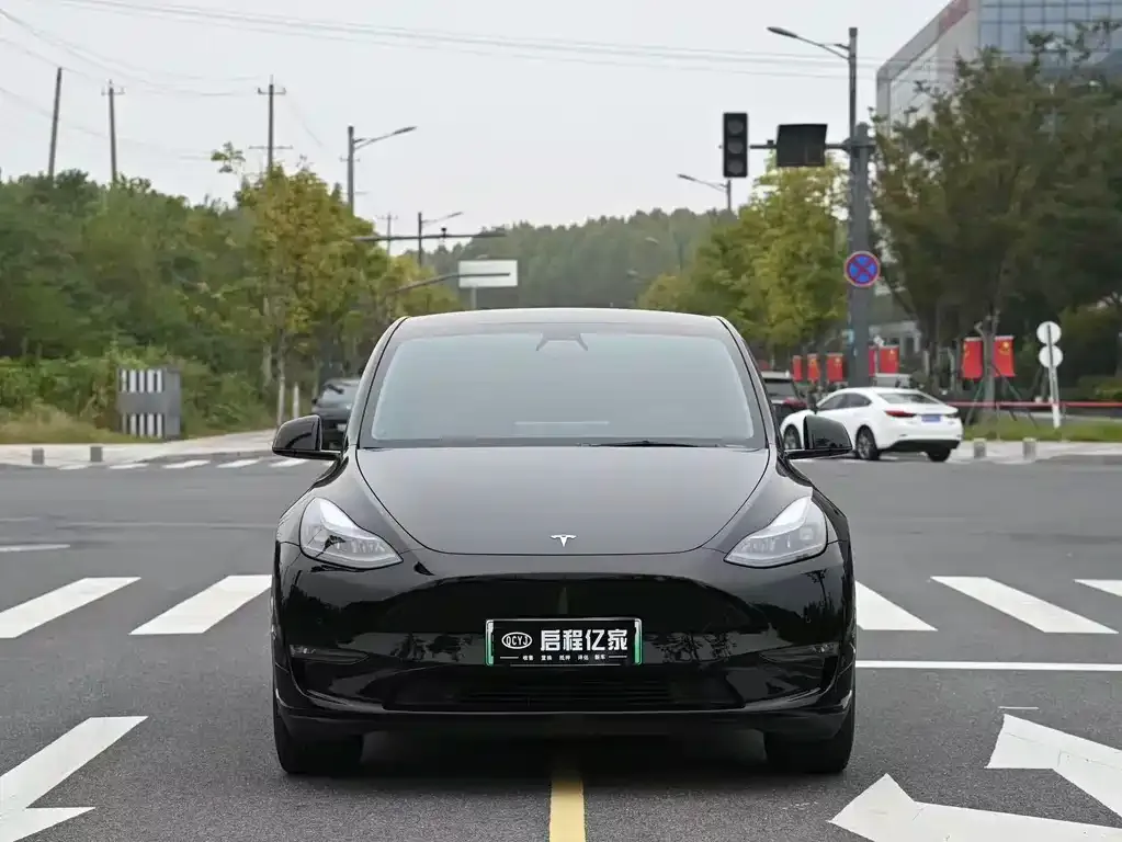 Tesla Model Y 2023 из CN, фото 2