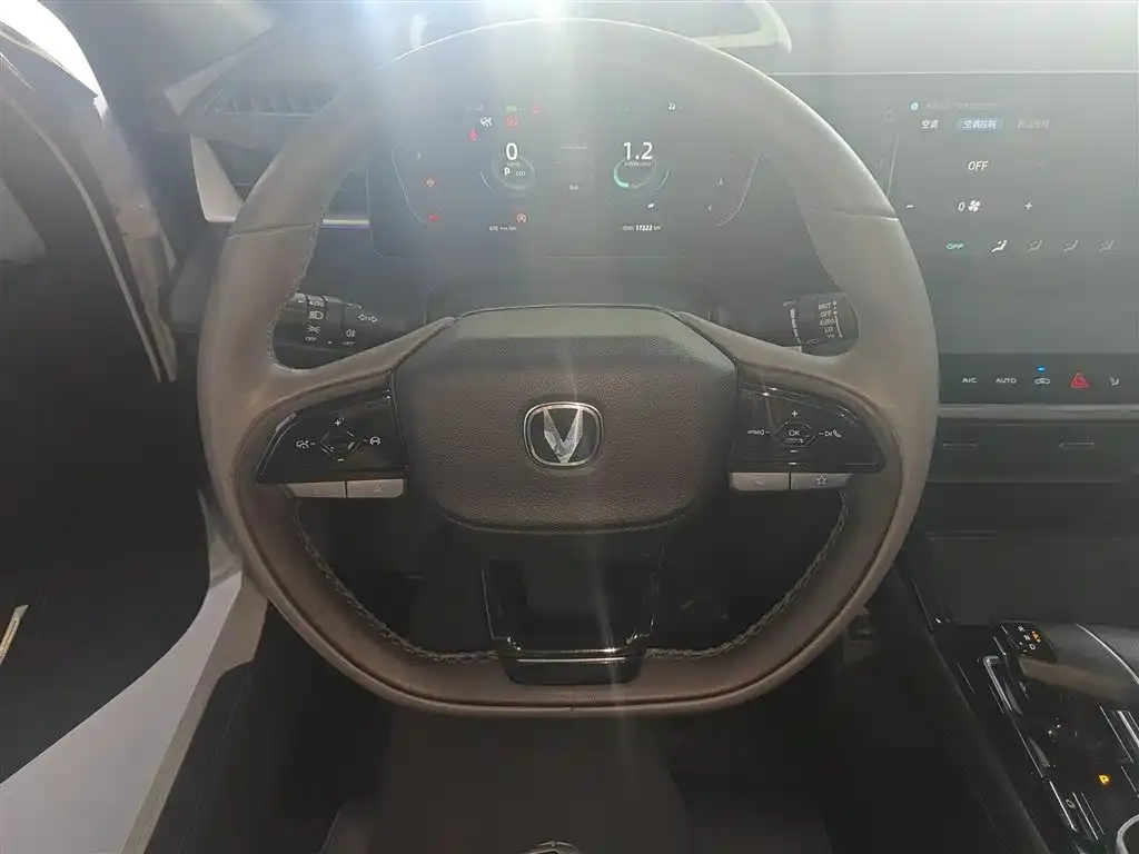 Changan Ruicheng PLUS 2023 из CN, фото 10