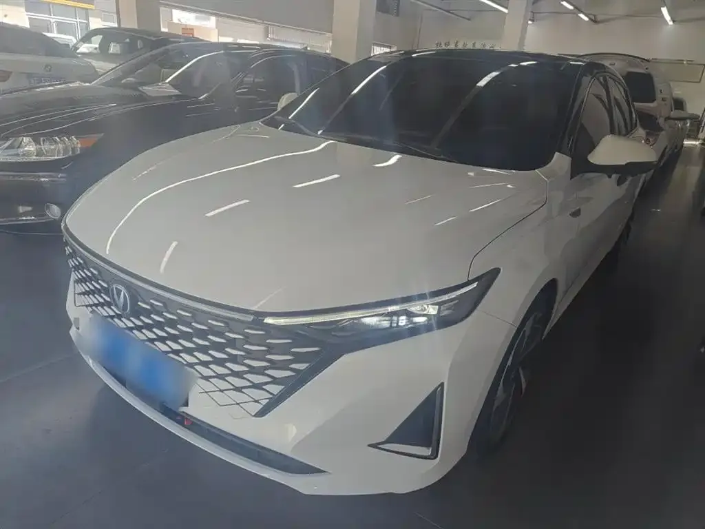 Changan Ruicheng PLUS 2023 из CN, фото 2