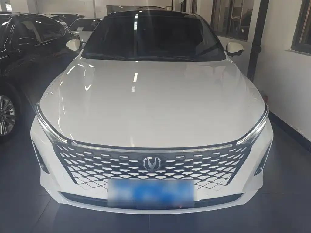 Changan Ruicheng PLUS 2023 из CN, фото 3