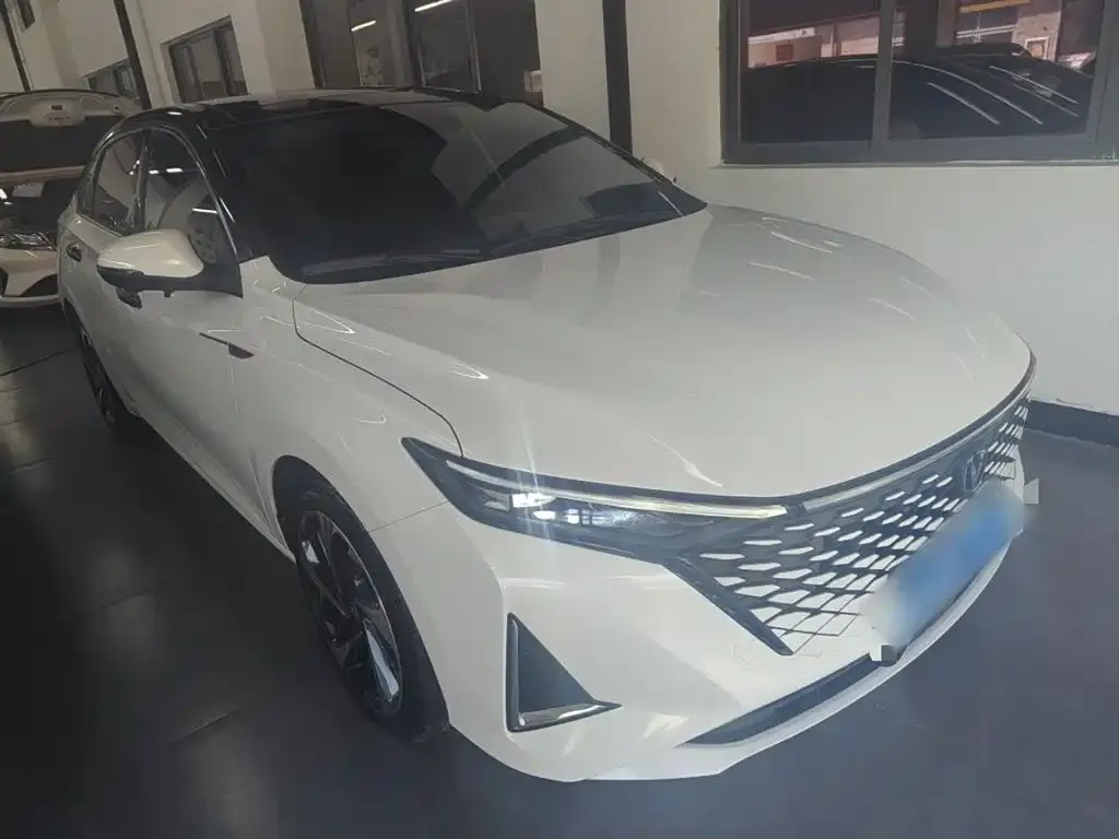 Changan Ruicheng PLUS 2023 из CN, фото 4